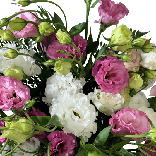 Lisianthus Rosa y Blanco en Florero con Follaje