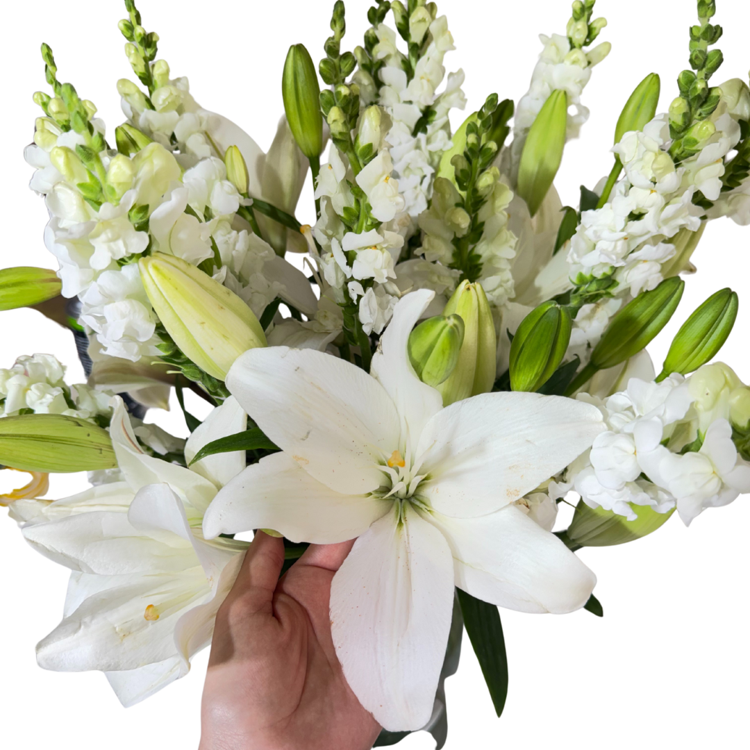 Lilis Blancas con Perrito en Florero