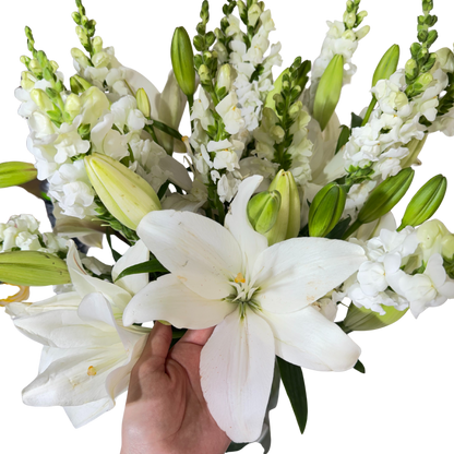 Lilis Blancas con Perrito en Florero