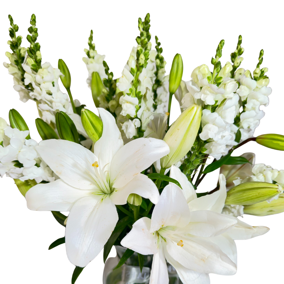 Lilis Blancas con Perrito en Florero