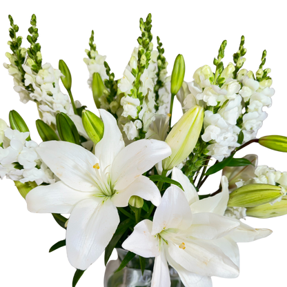 Lilis Blancas con Perrito en Florero