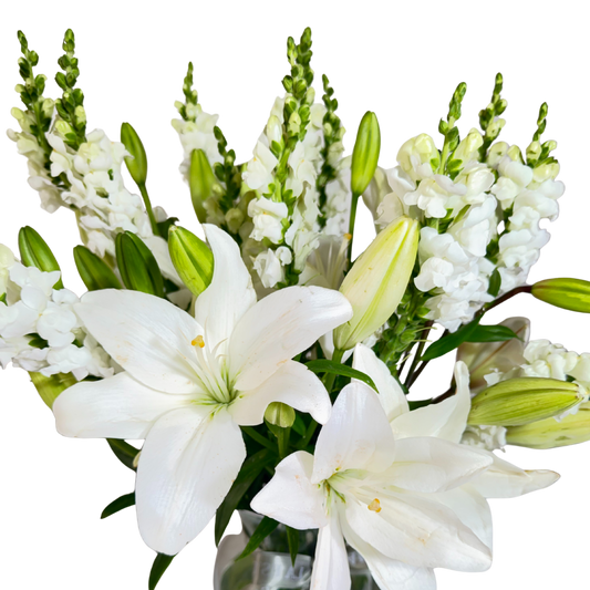 Lilis Blancas con Perrito en Florero