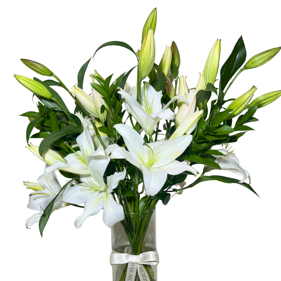 Casa Blancas en Florero con Follaje