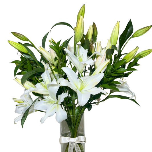 Casa Blancas en Florero con Follaje