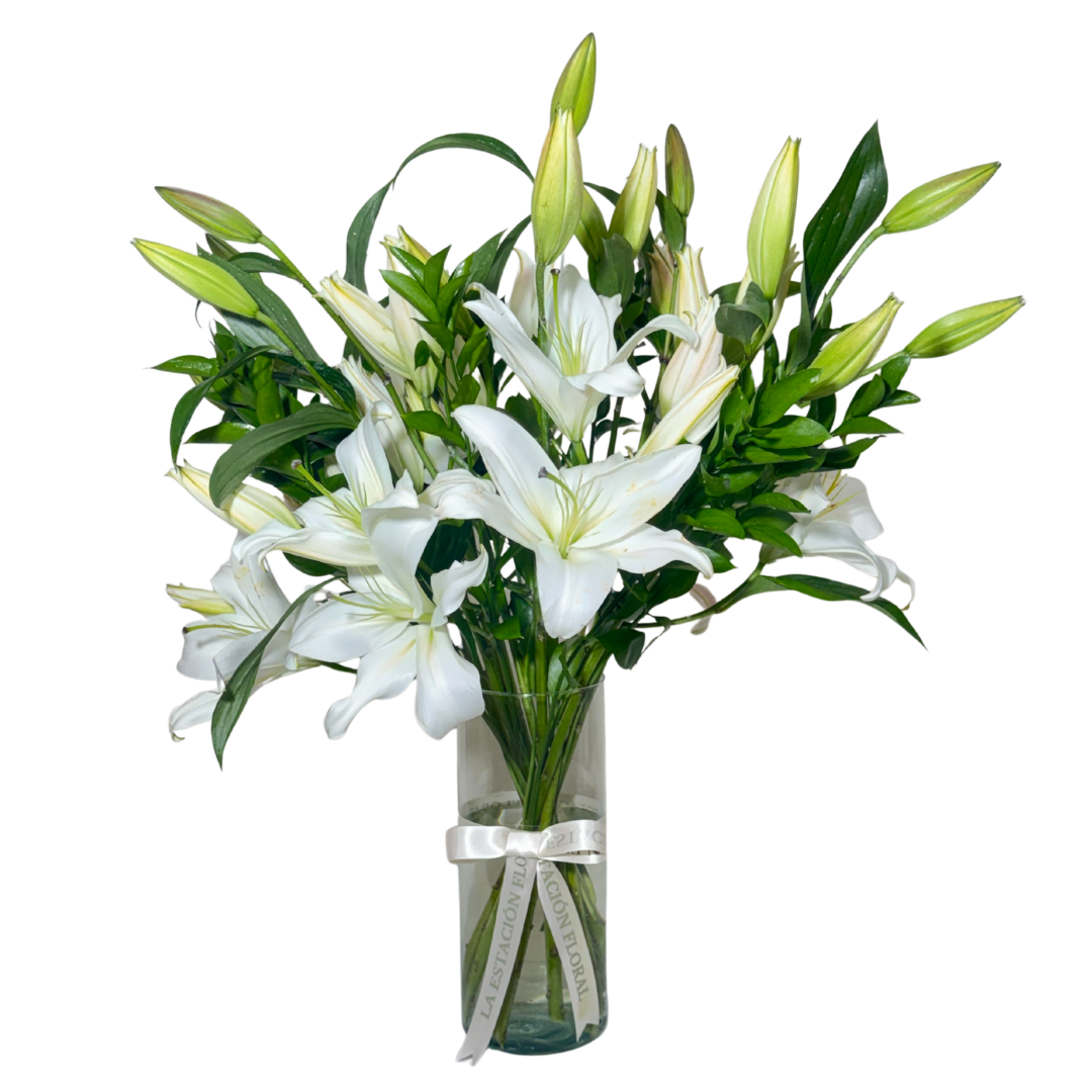 Casa Blancas en Florero con Follaje