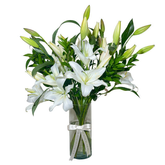 Casa Blancas en Florero con Follaje