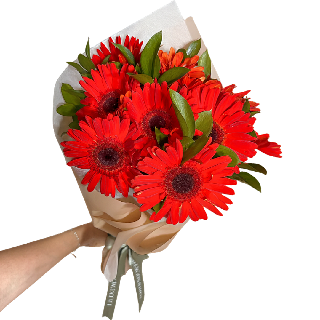 Ramo de Gerberas Rojas con Follaje