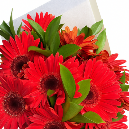 Ramo de Gerberas Rojas con Follaje